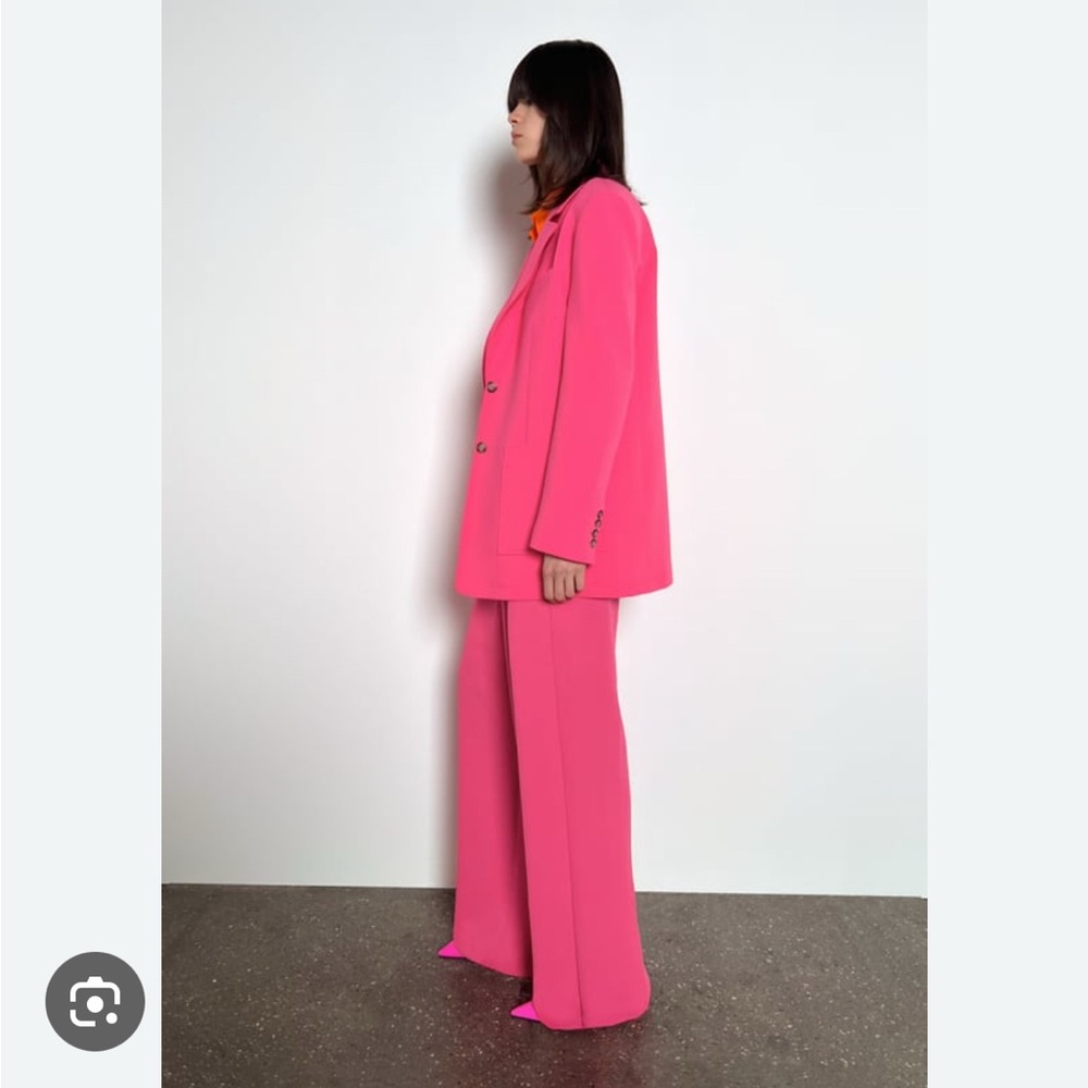 Zara Pink Wide Leg pants
